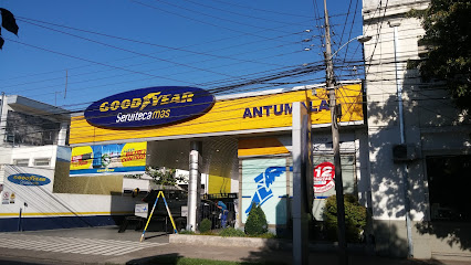 Automotriz Antumalal