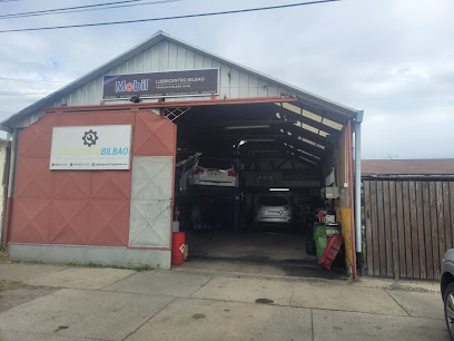 Holding Magallanes Spa