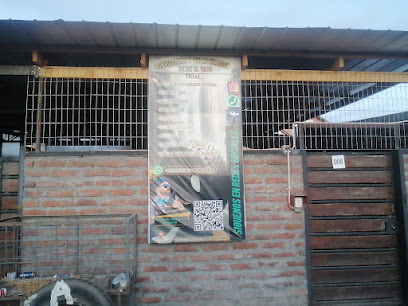 Lubricentro Y Vulcanizacion Donde El Tallo